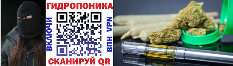 магазин продажи наркотиков  Болохово  Шишки марихуана Bruce Banner 